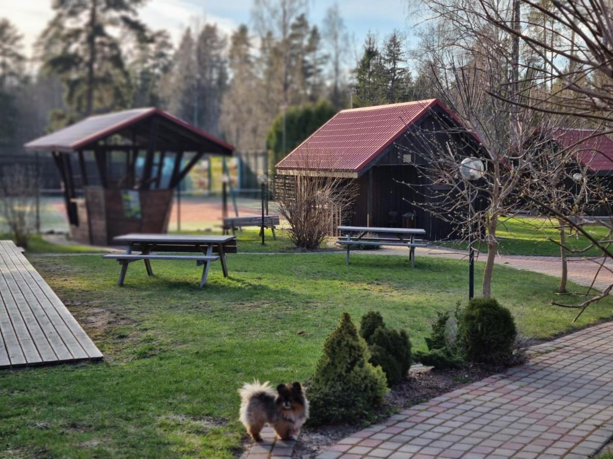 Viesu Nams Vecmuiza Otel Tūja Dış mekan fotoğraf