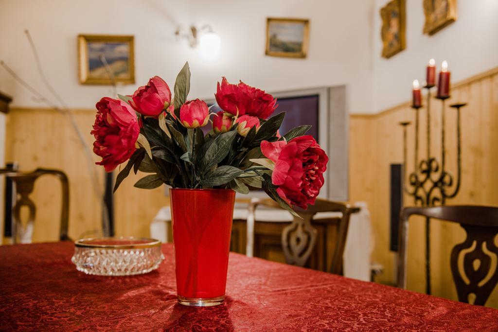 Viesu Nams Vecmuiza Otel Tūja Dış mekan fotoğraf